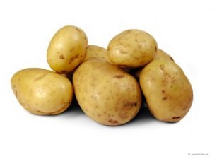 werkingsmechanisme aardappelen en zetmeel